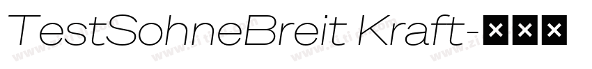 TestSohneBreit Kraft字体转换